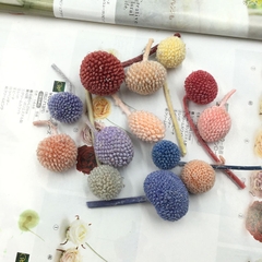 ĐẦU HOA CÚC NÚT ÁO KHÔ LOẠI 1 TRANG TRÍ NẾN/THIỆP/CRAFTBOOK HANDMADE T.CRAFT HOUSE