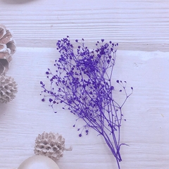 HOA BABY BLOOM KHÔ LOẠI 1 TRANG TRÍ NẾN/THIỆP/CRAFTBOOK HANDMADE T.CRAFT HOUSE
