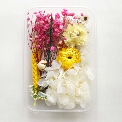 HỘP HOA KHÔ CAO CẤP ĐỦ LOẠI TRANG TRÍ TẬP SÁCH, THIỆP, SỔ VÀ LÀM NẾN T-CRAFT ^^