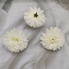 COMBO 3 HOA CÚC TRẮNG SẤY KHÔ TRANG TRÍ NẾN/THIỆP/CRAFTBOOK HANDMADE T.CRAFT HOUSE