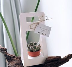 SET 5 HỘP GIẤY CẮM HOA CÓ QUAI XÁCH CAO CẤP T.CRAFT HOUSE
