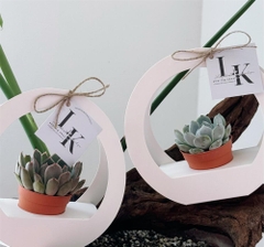 SET 5 HỘP GIẤY CẮM HOA HÌNH TRÒN CÓ QUAI XÁCH CAO CẤP T.CRAFT HOUSE
