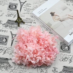 HOA CẨM TÚ CẦU KHÔ LOẠI 1 TRANG TRÍ NẾN/THIỆP/CRAFTBOOK HANDMADE T.CRAFT HOUSE