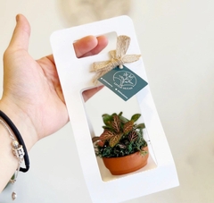 SET 5 HỘP GIẤY CẮM HOA CÓ QUAI XÁCH CAO CẤP T.CRAFT HOUSE