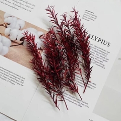 NHÁNH HOÀNG KIM NHỎ KHÔ LOẠI 1 TRANG TRÍ NẾN/THIỆP/CRAFTBOOK HANDMADE T.CRAFT HOUSE