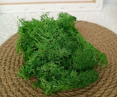 (10g) RÊU TUẦN LỘC KHÔ TRANG TRÍ NẾN/THIỆP/CRAFTBOOK HANDMADE T.CRAFT HOUSE