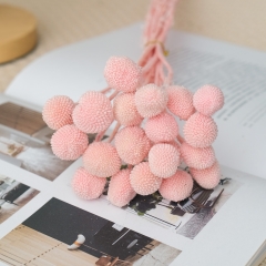 ĐẦU HOA CÚC NÚT ÁO KHÔ LOẠI 1 TRANG TRÍ NẾN/THIỆP/CRAFTBOOK HANDMADE T.CRAFT HOUSE