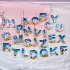 VỎ ỐC TRANG TRÍ NHIỀU KÍCH THƯỚC T.CRAFT HOUSE