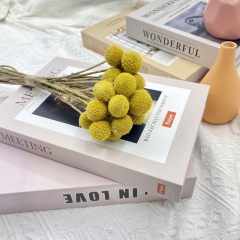 ĐẦU HOA CÚC NÚT ÁO KHÔ LOẠI 1 TRANG TRÍ NẾN/THIỆP/CRAFTBOOK HANDMADE T.CRAFT HOUSE