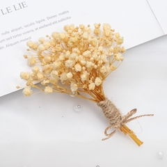 BÓ HOA BABY SẤY KHÔ TRANG TRÍ NẾN/THIỆP/CRAFTBOOK HANDMADE T.CRAFT HOUSE