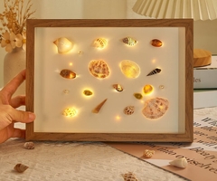VỎ ỐC TRANG TRÍ NHIỀU KÍCH THƯỚC T.CRAFT HOUSE