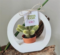 SET 5 HỘP GIẤY CẮM HOA HÌNH TRÒN CÓ QUAI XÁCH CAO CẤP T.CRAFT HOUSE