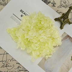 HOA CẨM TÚ CẦU KHÔ LOẠI 1 TRANG TRÍ NẾN/THIỆP/CRAFTBOOK HANDMADE T.CRAFT HOUSE