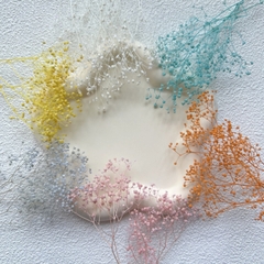 HOA BABY BLOOM KHÔ LOẠI 1 TRANG TRÍ NẾN/THIỆP/CRAFTBOOK HANDMADE T.CRAFT HOUSE