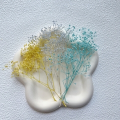 HOA BABY BLOOM KHÔ LOẠI 1 TRANG TRÍ NẾN/THIỆP/CRAFTBOOK HANDMADE T.CRAFT HOUSE