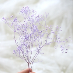 HOA BABY BLOOM KHÔ LOẠI 1 TRANG TRÍ NẾN/THIỆP/CRAFTBOOK HANDMADE T.CRAFT HOUSE