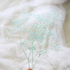 HOA BABY BLOOM KHÔ LOẠI 1 TRANG TRÍ NẾN/THIỆP/CRAFTBOOK HANDMADE T.CRAFT HOUSE