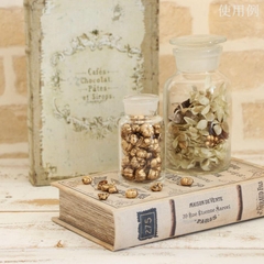 BÍ NGÔ SẤY KHÔ TRANG TRÍ NẾN/THIỆP/CRAFTBOOK HANDMADE T.CRAFT HOUSE