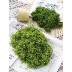 (10g) RÊU TUẦN LỘC KHÔ TRANG TRÍ NẾN/THIỆP/CRAFTBOOK HANDMADE T.CRAFT HOUSE