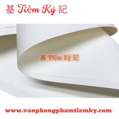 Giấy bìa cứng trứng A0 C300