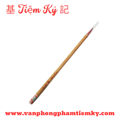 Cọ tàu cây gỗ nhỏ (lông đỏ)
