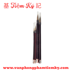 Cọ tàu nâu