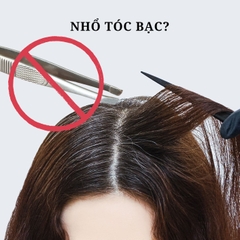 Có nên nhổ tóc bạc? Cách hạn chế tình trạng tóc bạc sớm
