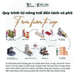 Cà Phê Đặc Sản ESPRESSO Top 4 Việt Nam | The Seasonal Fine Robusta 2026