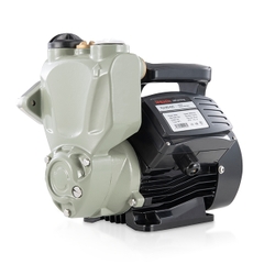 Máy bơm nước chân không Rheken JLm 60-400