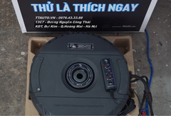 SUB TRONG BÁNH SƠ CUA Ô TÔ RA11 VÀ RA12