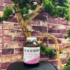 Vitamin Bầu Blackmores Pregnancy & breast feeding gold 120 Viên- Vitamin tổng hợp bầu và sau sinh