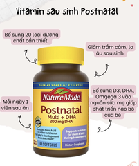 Vitamin Dành Cho Phụ Nữ Cho Con Bú Postnatal Multi DHA