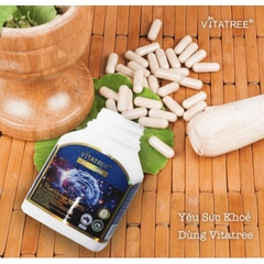 Bổ não VITATREE MAXI GINKGO 9500 60 Viên- Tăng tuần hoàn máu não