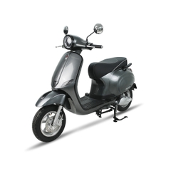 XE MÁY ĐIỆN ESPERO CLASSIC PRO 2