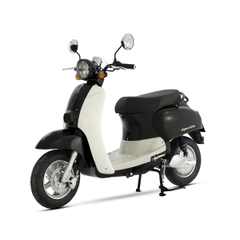 XE MÁY ĐIỆN ESPERO ECREA