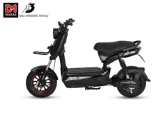 XE MÁY ĐIỆN OSAKAR X3