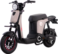 XE ĐẠP ĐIỆN OSAKAR MANDI