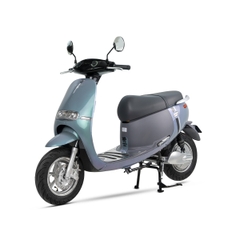 XE MÁY ĐIỆN ESPERO GOGO-F1 PRO