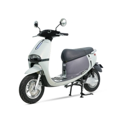 XE MÁY ĐIỆN ESPERO GOGO-F2 PRO