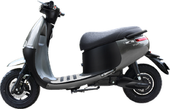 XE MÁY ĐIỆN OSAKAR GOGO SS