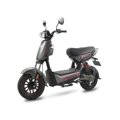 XE MÁY ĐIỆN ESPERO T-REX