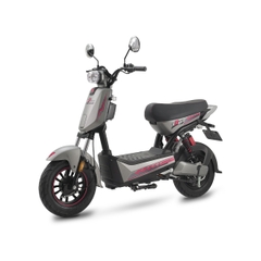 XE MÁY ĐIỆN ESPERO T-REX