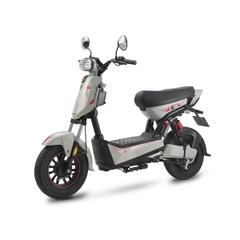 XE MÁY ĐIỆN ESPERO T-REX