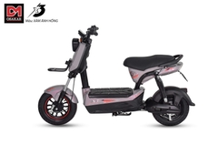 XE MÁY ĐIỆN OSAKAR XMEN PRO-X