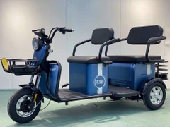 XE ĐIỆN 3 BÁNH TẢI THÙNG V1