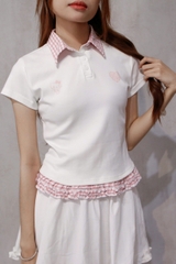 A29076 - A PL phối caro in HLKT