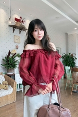 A29693- A kiểu TD lai bí