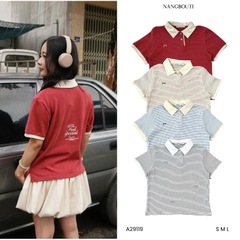 A29119 - A PL sọc phối thêu Fell