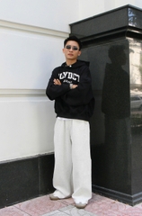A29960- Áo hoodies nam in thêu Dreamchaser