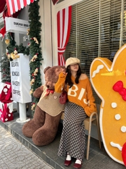 V4030 - V dài DK sườn